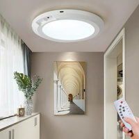 🔥3 Light Modes -【Magnetic Installation】+Remote Control